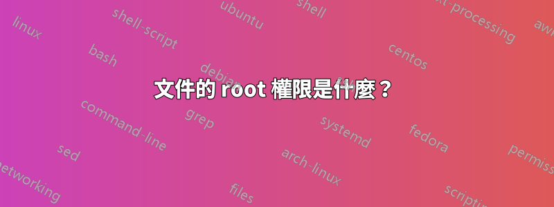 文件的 root 權限是什麼？