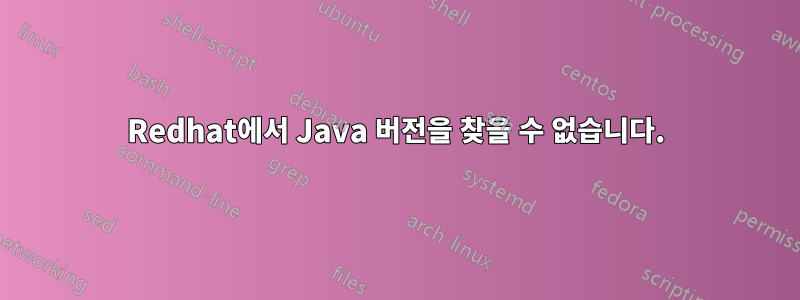 Redhat에서 Java 버전을 찾을 수 없습니다.