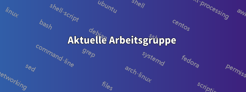 Aktuelle Arbeitsgruppe