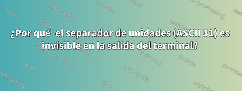 ¿Por qué el separador de unidades (ASCII 31) es invisible en la salida del terminal?