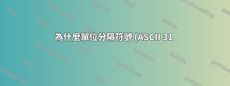 為什麼單位分隔符號 (ASCII 31) 在終端輸出中不可見?