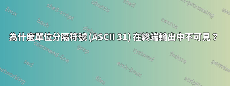 為什麼單位分隔符號 (ASCII 31) 在終端輸出中不可見？