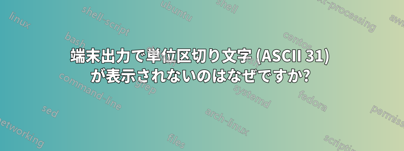 端末出力で単位区切り文字 (ASCII 31) が表示されないのはなぜですか?