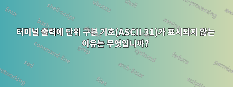 터미널 출력에 단위 구분 기호(ASCII 31)가 표시되지 않는 이유는 무엇입니까?