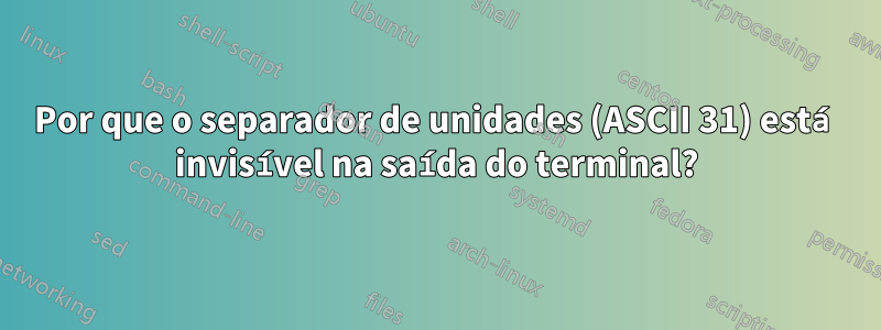 Por que o separador de unidades (ASCII 31) está invisível na saída do terminal?