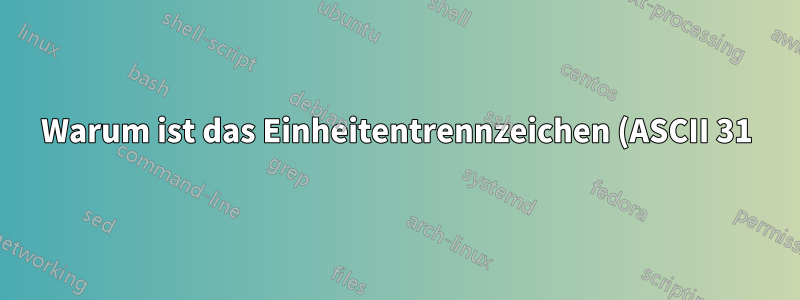Warum ist das Einheitentrennzeichen (ASCII 31) in der Terminalausgabe unsichtbar?