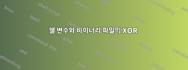 쉘 변수와 바이너리 파일의 XOR