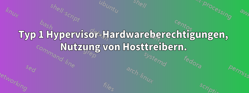 Typ 1 Hypervisor-Hardwareberechtigungen, Nutzung von Hosttreibern.