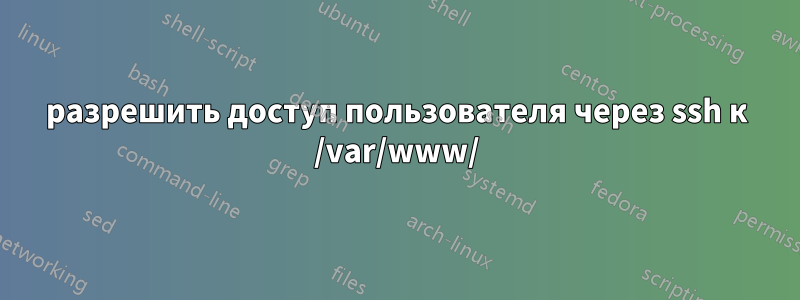 разрешить доступ пользователя через ssh к /var/www/