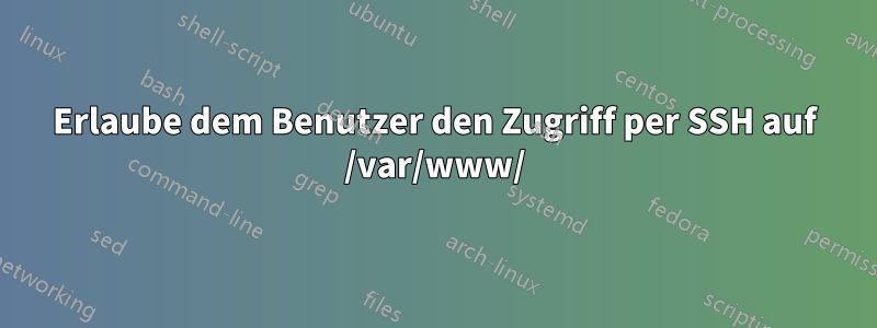 Erlaube dem Benutzer den Zugriff per SSH auf /var/www/