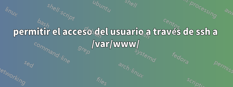 permitir el acceso del usuario a través de ssh a /var/www/