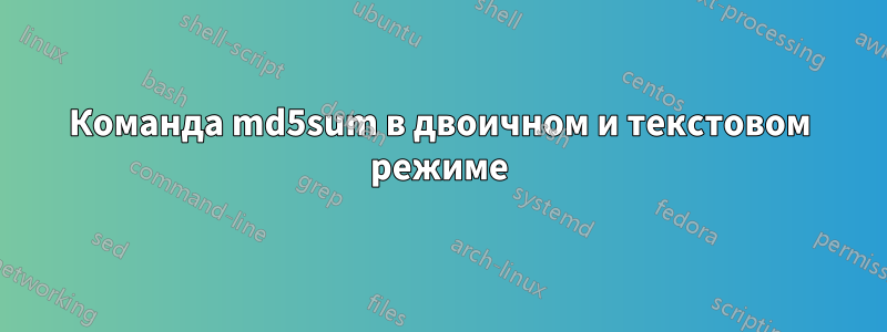 Команда md5sum в двоичном и текстовом режиме