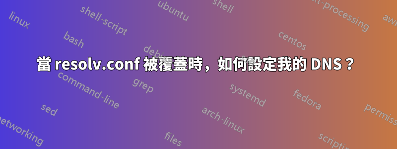 當 resolv.conf 被覆蓋時，如何設定我的 DNS？