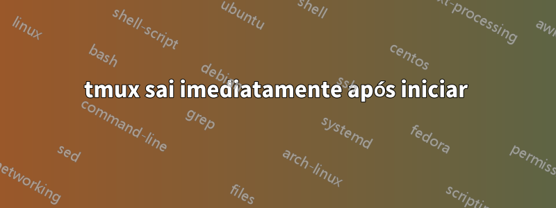 tmux sai imediatamente após iniciar