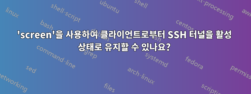 'screen'을 사용하여 클라이언트로부터 SSH 터널을 활성 상태로 유지할 수 있나요?