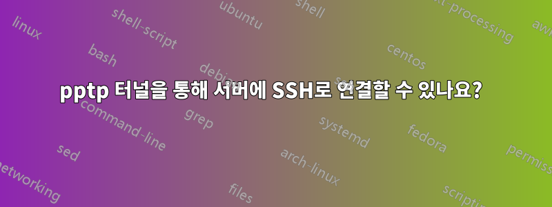 pptp 터널을 통해 서버에 SSH로 연결할 수 있나요? 