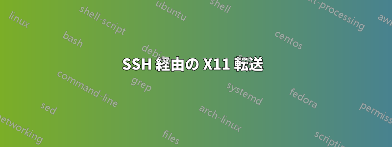 SSH 経由の X11 転送 