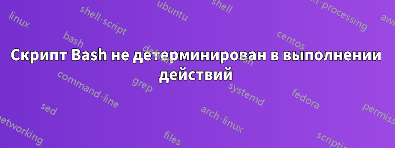 Скрипт Bash не детерминирован в выполнении действий