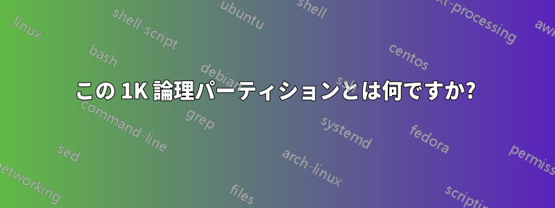 この 1K 論理パーティションとは何ですか?