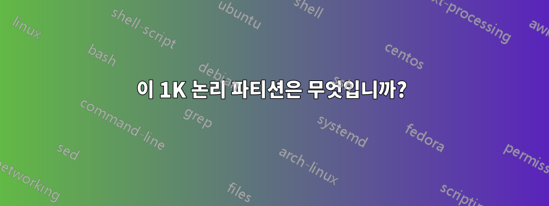 이 1K 논리 파티션은 무엇입니까?