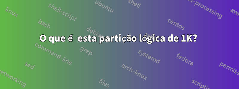 O que é esta partição lógica de 1K?