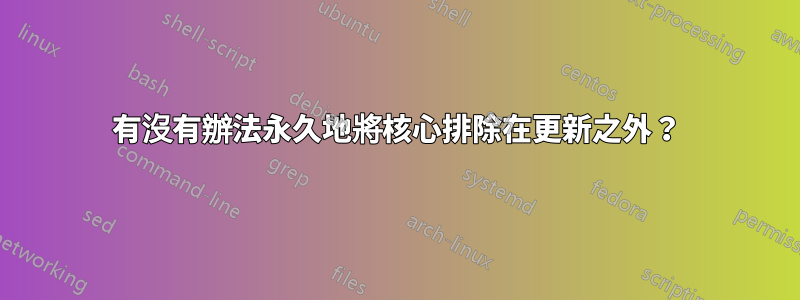 有沒有辦法永久地將核心排除在更新之外？