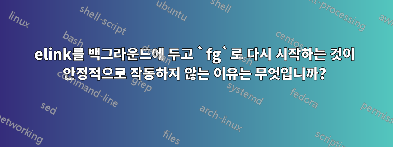 elink를 백그라운드에 두고 `fg`로 다시 시작하는 것이 안정적으로 작동하지 않는 이유는 무엇입니까?