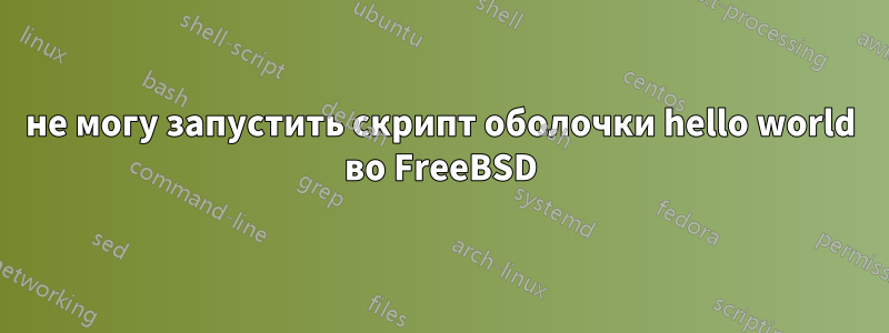 не могу запустить скрипт оболочки hello world во FreeBSD