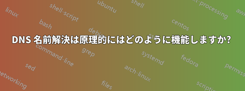 DNS 名前解決は原理的にはどのように機能しますか?