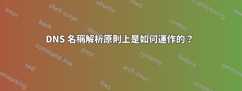 DNS 名稱解析原則上是如何運作的？