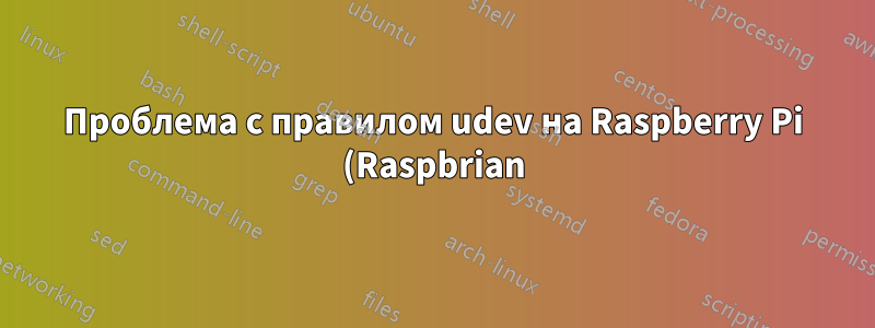 Проблема с правилом udev на Raspberry Pi (Raspbrian) с использованием кардридера ACR122U