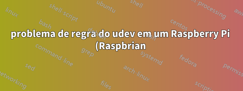 problema de regra do udev em um Raspberry Pi (Raspbrian) usando um leitor de cartão ACR122U