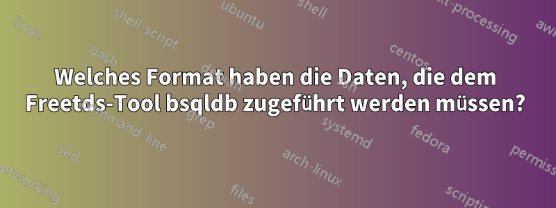 Welches Format haben die Daten, die dem Freetds-Tool bsqldb zugeführt werden müssen?