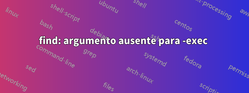 find: argumento ausente para -exec