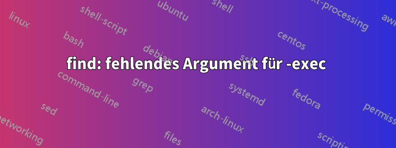 find: fehlendes Argument für -exec