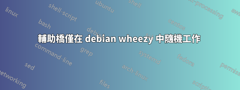 輔助橋僅在 debian wheezy 中隨機工作