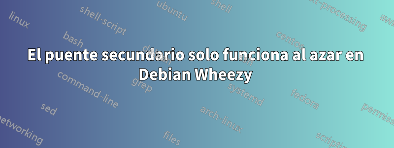 El puente secundario solo funciona al azar en Debian Wheezy