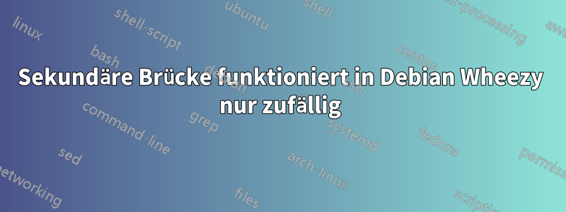 Sekundäre Brücke funktioniert in Debian Wheezy nur zufällig