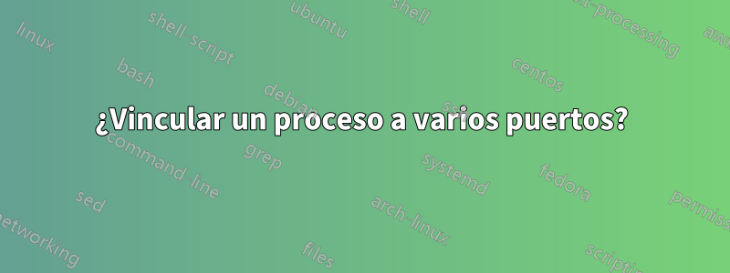 ¿Vincular un proceso a varios puertos?