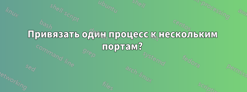 Привязать один процесс к нескольким портам?