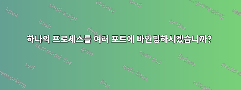 하나의 프로세스를 여러 포트에 바인딩하시겠습니까?