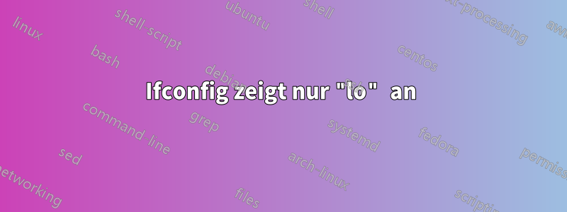 Ifconfig zeigt nur "lo" an