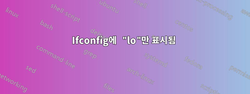 Ifconfig에 "lo"만 표시됨