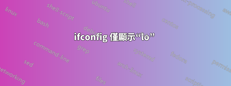 ifconfig 僅顯示“lo”