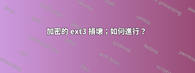 加密的 ext3 損壞；如何進行？