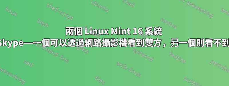 兩個 Linux Mint 16 系統 Skype——一個可以透過網路攝影機看到雙方，另一個則看不到