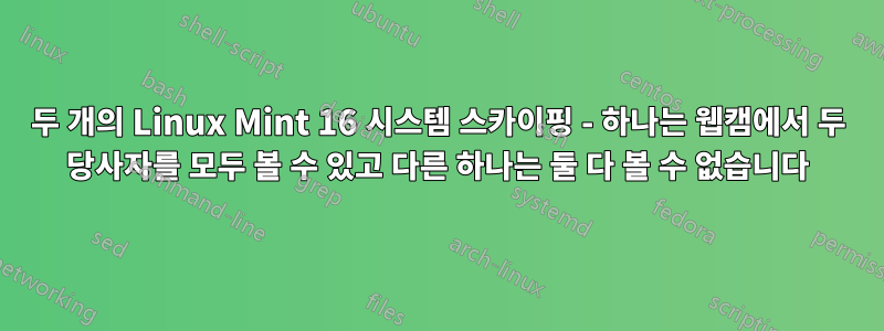 두 개의 Linux Mint 16 시스템 스카이핑 - 하나는 웹캠에서 두 당사자를 모두 볼 수 있고 다른 하나는 둘 다 볼 수 없습니다