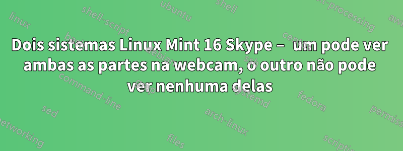 Dois sistemas Linux Mint 16 Skype – um pode ver ambas as partes na webcam, o outro não pode ver nenhuma delas