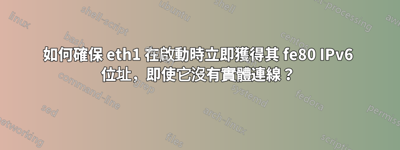 如何確保 eth1 在啟動時立即獲得其 fe80 IPv6 位址，即使它沒有實體連線？