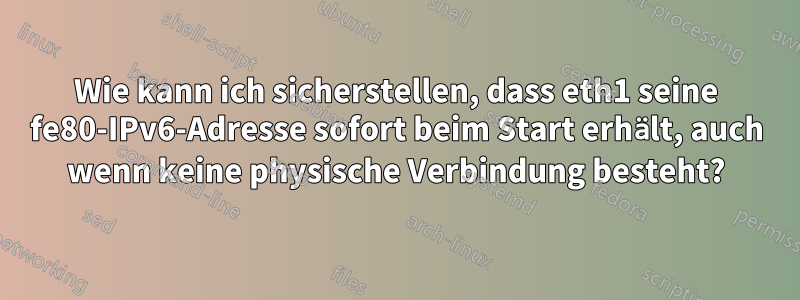 Wie kann ich sicherstellen, dass eth1 seine fe80-IPv6-Adresse sofort beim Start erhält, auch wenn keine physische Verbindung besteht?